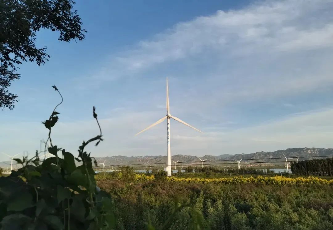 微信圖片_20220707162041.jpg 微信圖片_20220707162041.jpg